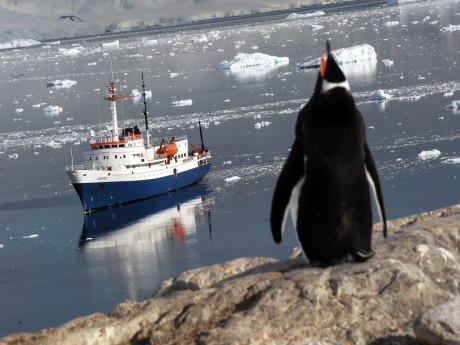 Crucero Clásica Antártida